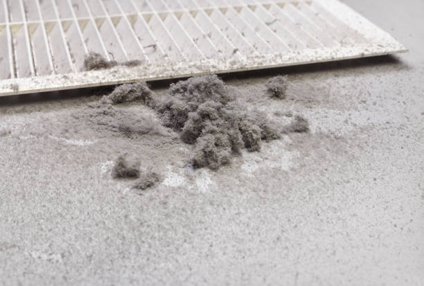 Best HVAC Duct Inspection Services  in Seis Lagos, TX